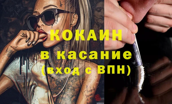 сатива Баксан