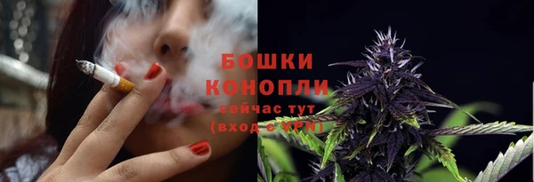 сатива Баксан