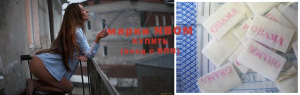 сатива Баксан