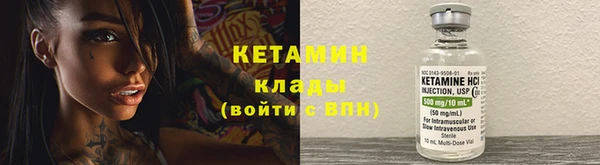 сатива Баксан