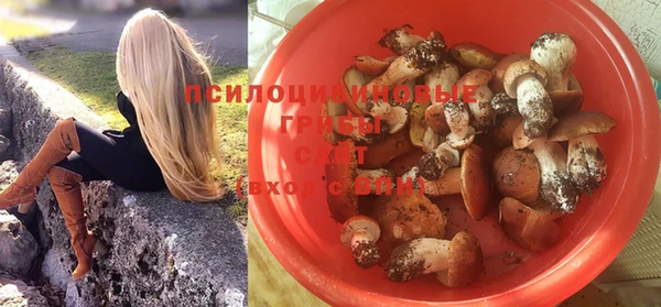 сатива Баксан
