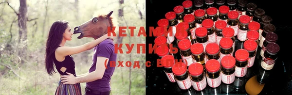 сатива Баксан