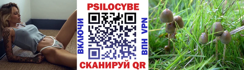 Галлюциногенные грибы MAGIC MUSHROOMS  даркнет сайт  Зеленогорск 
